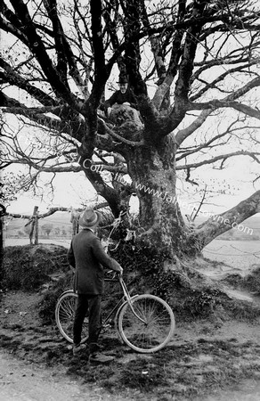 ST.FINTAN'S WELL A.HALT CONVERSATION WITH A PILGRIM IN THE TREE